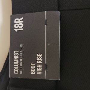 Express Columnist Black Pants